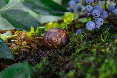 Similar image 21535798