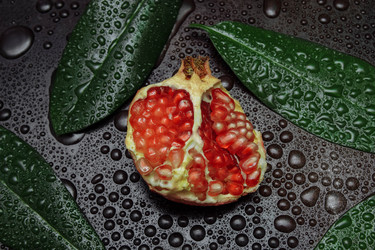 Similar image 21535802