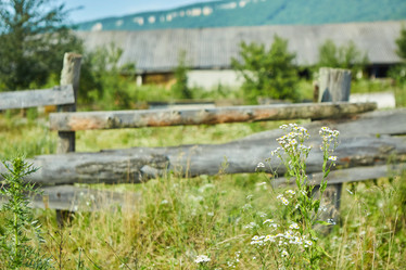 Similar image 21533591