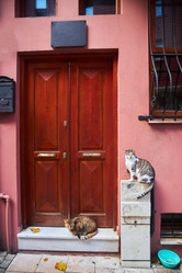 Similar image 21533619