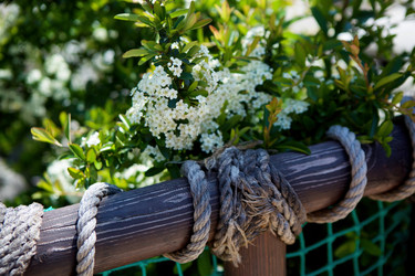 Similar image 21533633