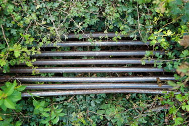 Similar image 21533649