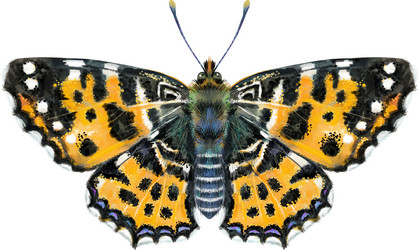 Similar image 21546782