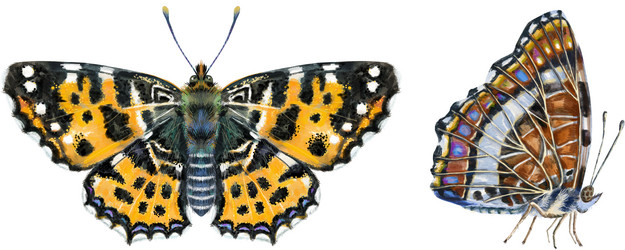 Similar image 21546783