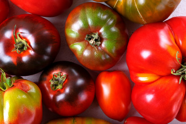 Similar image 21533470