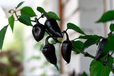 Similar image 21533060