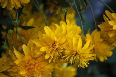 Similar image 21535526