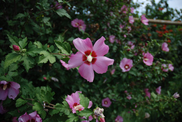 Similar image 21538548