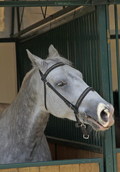 Similar image 21535337