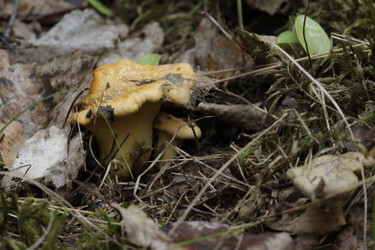 Similar image 21535338