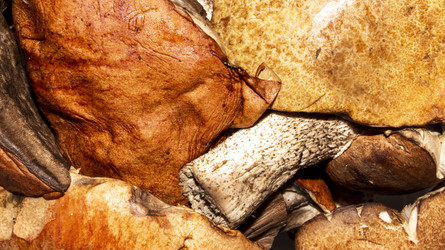 Similar image 21533485