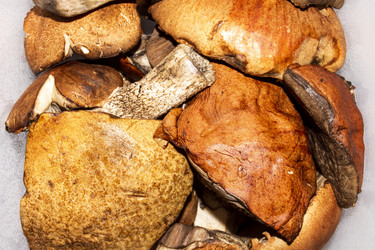 Similar image 21533486