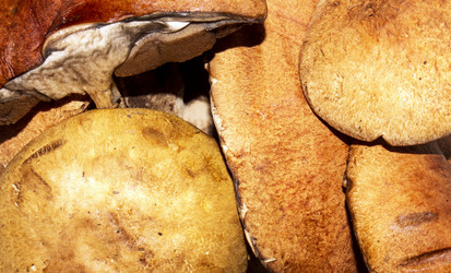 Similar image 21533488