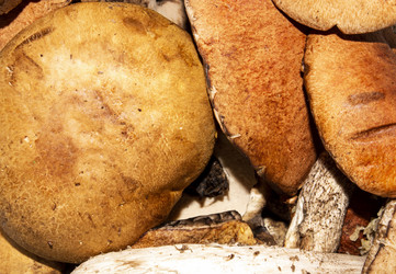 Similar image 21533490