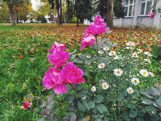 Similar image 21538553