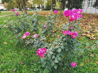 Similar image 21538555