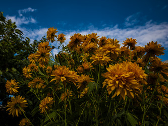 Similar image 21535527