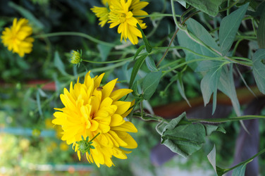 Similar image 21535528