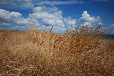 Similar image 21535355