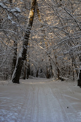 Similar image 21535362