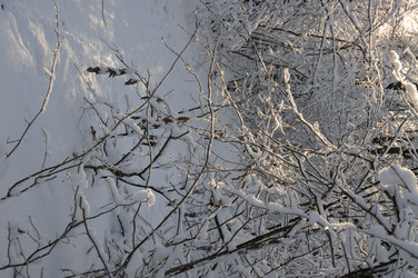 Similar image 21535363