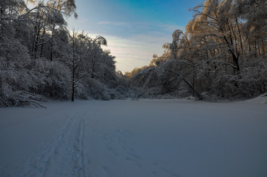 Similar image 21535364