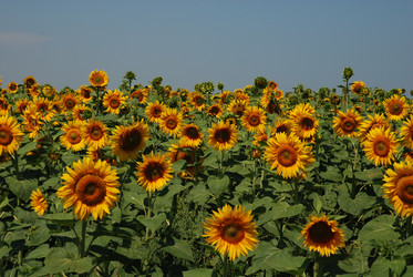 Similar image 21535372