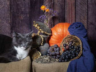 Similar image 21537776