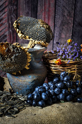 Similar image 21537779