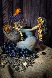 Similar image 21537780