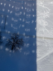 Similar image 21537782