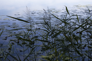 Similar image 21535376