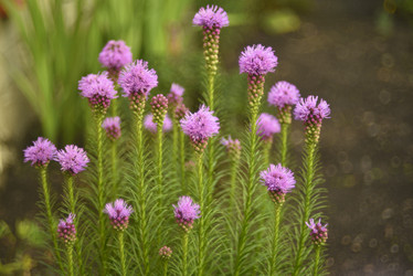 Similar image 21535377