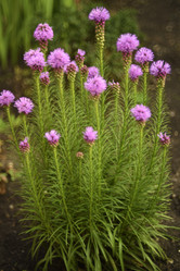 Similar image 21535378