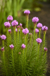 Similar image 21535380