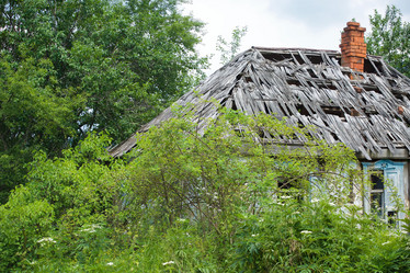 Similar image 21536088