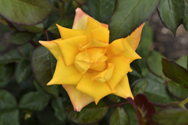 Similar image 21535530