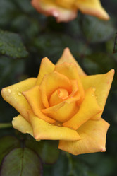 Similar image 21535538