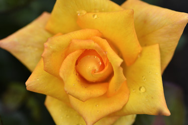 Similar image 21535539