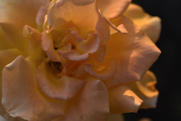 Similar image 21535544