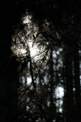 Similar image 21535789