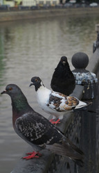 Similar image 21535790