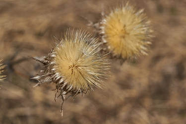 Similar image 21537784