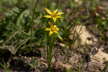 Similar image 21546785