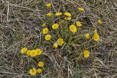 Similar image 21542522