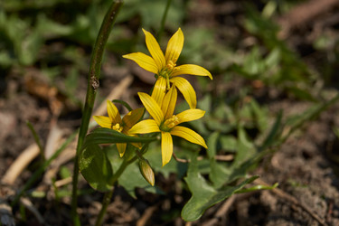 Similar image 21535816