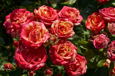 Similar image 21535551