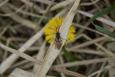 Similar image 21545825