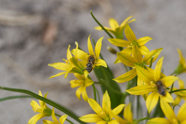 Similar image 21542524