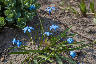 Similar image 21537785